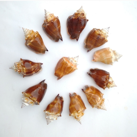 Meet your Posher, Justine - Picture 10 of 16